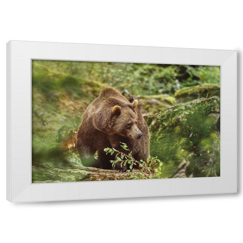 On A Trip... White Modern Wood Framed Art Print by Svestka, Jiri