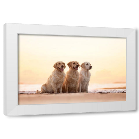 Golden Hour White Modern Wood Framed Art Print by Eeckloo, Valerie