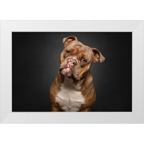 Serious Business White Modern Wood Framed Art Print by Eeckloo, Valerie