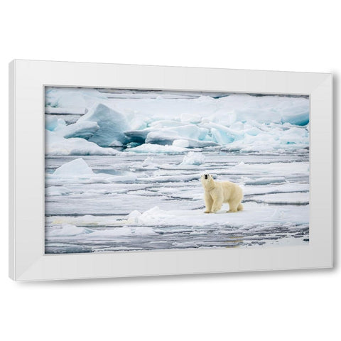 The Hunt - What Can I Smell? White Modern Wood Framed Art Print by Lewis-Bevan, Wyn