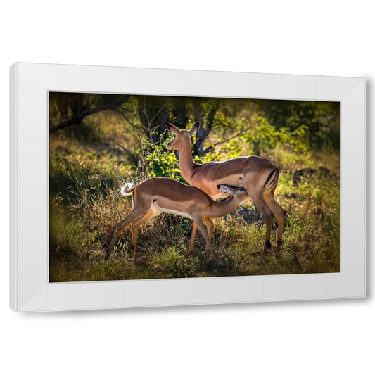 Perspective Image