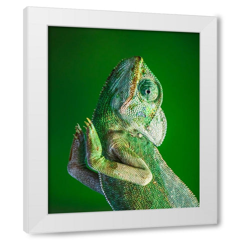 Praying! White Modern Wood Framed Art Print by Elkahlawi, Ahmed