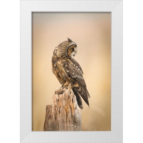 Sunrise White Modern Wood Framed Art Print by Lu, Bill