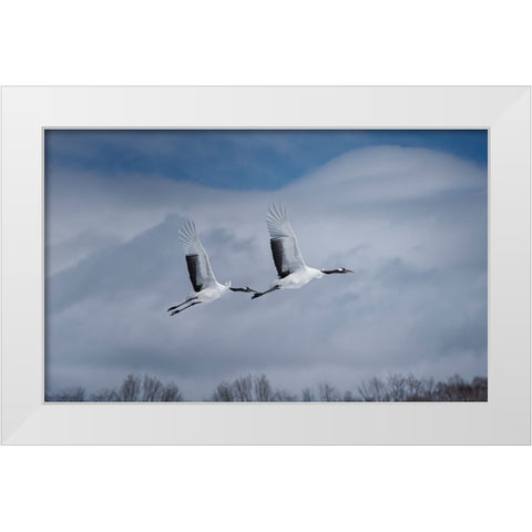 Sandhill in action White Modern Wood Framed Art Print by Deng, Larry