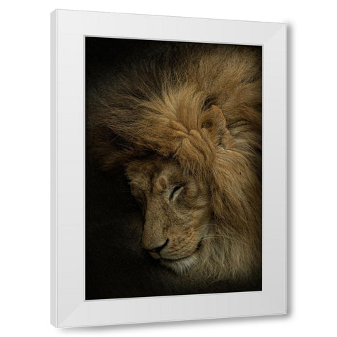 Healing Heart White Modern Wood Framed Art Print by Nakatsuka, Takayuki