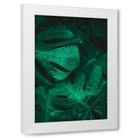 Green like life White Modern Wood Framed Art Print by Hamedani, Ardalan