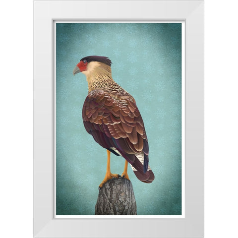 Carancho White Modern Wood Framed Art Print by Caballero, Franco