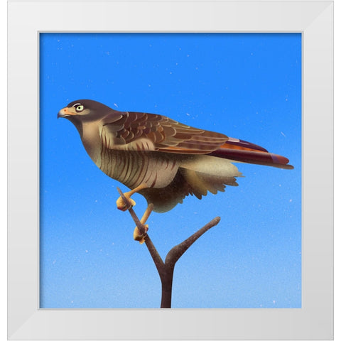 Hawk White Modern Wood Framed Art Print by Caballero, Franco