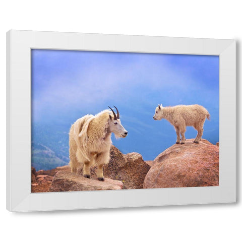 A Mothers Smile White Modern Wood Framed Art Print by Scarbrough, David