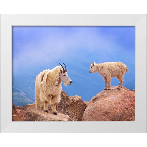 A Mothers Smile White Modern Wood Framed Art Print by Scarbrough, David