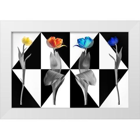 PopArt Tulips White Modern Wood Framed Art Print by Ruckert, Stephan