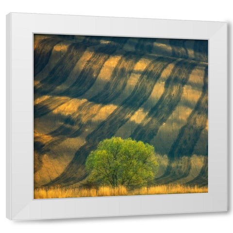 Tree ... White Modern Wood Framed Art Print by Browko, Krzysztof