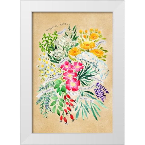 Medicinal herbs in vintage sepia White Modern Wood Framed Art Print by Laiz Blursbyai, Rosana