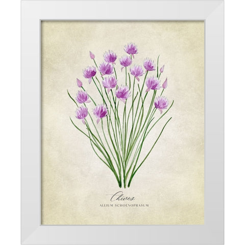 Chives vintage White Modern Wood Framed Art Print by Laiz Blursbyai, Rosana