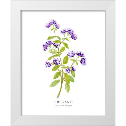 Oregano I White Modern Wood Framed Art Print by Laiz Blursbyai, Rosana