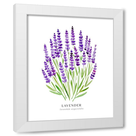 Lavender I White Modern Wood Framed Art Print by Laiz Blursbyai, Rosana