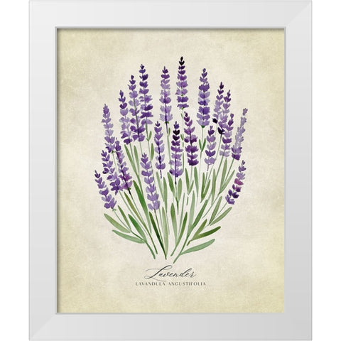 Lavender vintage White Modern Wood Framed Art Print by Laiz Blursbyai, Rosana