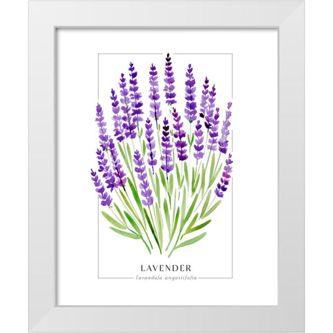 Lavender II White Modern Wood Framed Art Print by Laiz Blursbyai, Rosana
