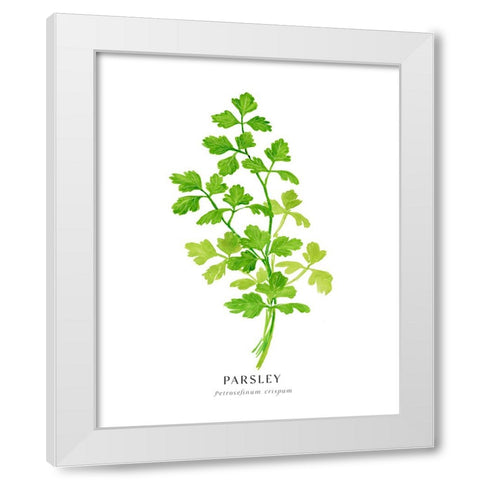 Parsley I White Modern Wood Framed Art Print by Laiz Blursbyai, Rosana