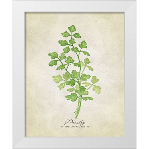 Parsley vintage White Modern Wood Framed Art Print by Laiz Blursbyai, Rosana