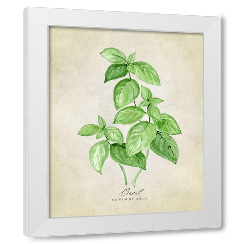 Basil vintage White Modern Wood Framed Art Print by Laiz Blursbyai, Rosana