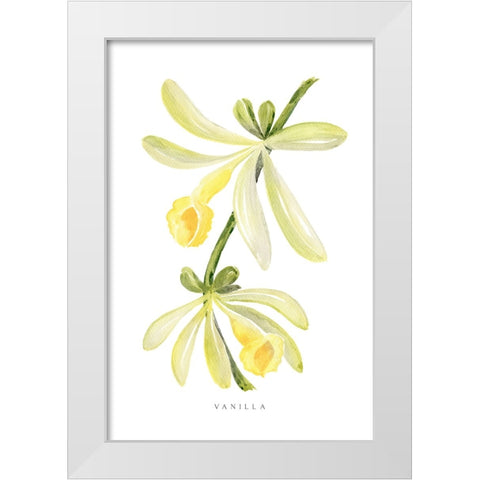 Watercolor vanilla orchid White Modern Wood Framed Art Print by Laiz Blursbyai, Rosana