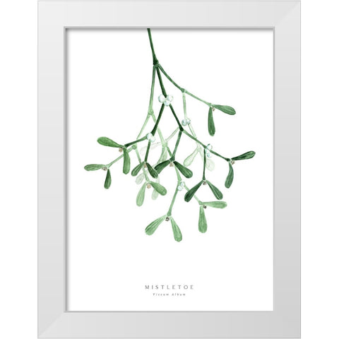 Watercolor mistletoe White Modern Wood Framed Art Print by Laiz Blursbyai, Rosana