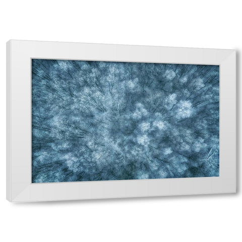 Winter Forest White Modern Wood Framed Art Print by Krier, Guy