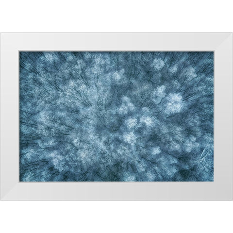 Winter Forest White Modern Wood Framed Art Print by Krier, Guy