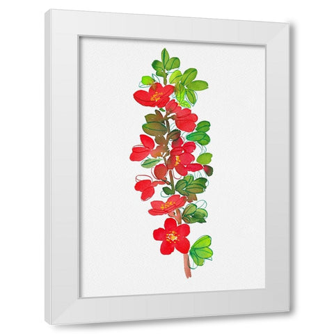 Japanese quince or Chaenomeles japonica botanical painting White Modern Wood Framed Art Print by Kata Botanical