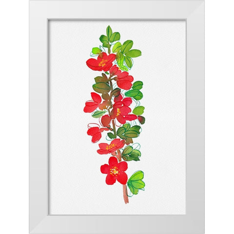 Japanese quince or Chaenomeles japonica botanical painting White Modern Wood Framed Art Print by Kata Botanical
