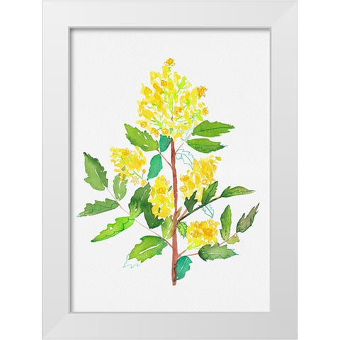 Oregon grape or Mahonia aquifolium botanical painting White Modern Wood Framed Art Print by Kata Botanical
