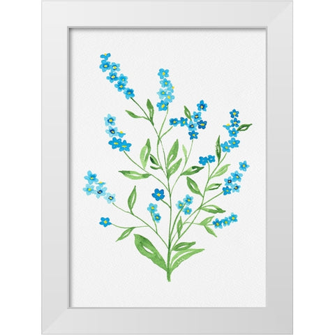 Wood forget-me-not or Myosotis sylvatica botanical painting White Modern Wood Framed Art Print by Kata Botanical