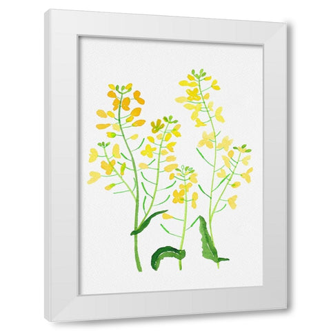 Rapeseed or Brassica napus botanical painting White Modern Wood Framed Art Print by Kata Botanical