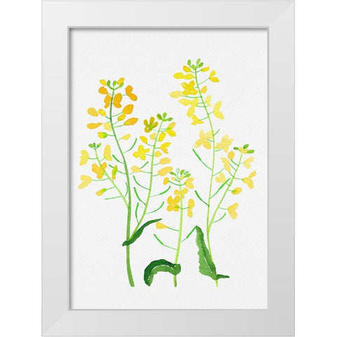 Rapeseed or Brassica napus botanical painting White Modern Wood Framed Art Print by Kata Botanical