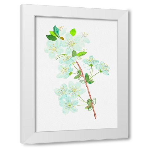 Wild cherry or Prunus avium botanical painting White Modern Wood Framed Art Print by Kata Botanical