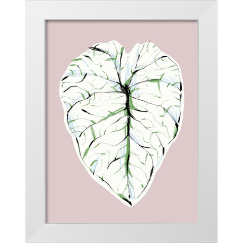 Alocasia Melo Light White Modern Wood Framed Art Print by Gulina, Francesco