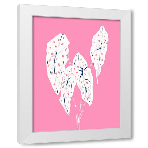 Begonia Maculata Pink White Modern Wood Framed Art Print by Gulina, Francesco