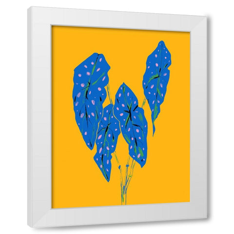 Begonia Maculata Blue and Yellow White Modern Wood Framed Art Print by Gulina, Francesco
