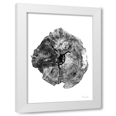 Oak Log White Modern Wood Framed Art Print by Hobday, Dan