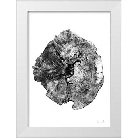 Oak Log White Modern Wood Framed Art Print by Hobday, Dan