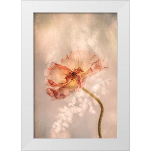 Radiant poppy White Modern Wood Framed Art Print by van der, Hilda
