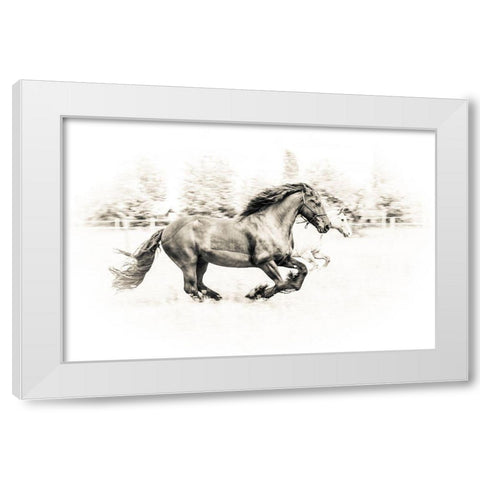The Two Friends White Modern Wood Framed Art Print by Graf, Sebastian