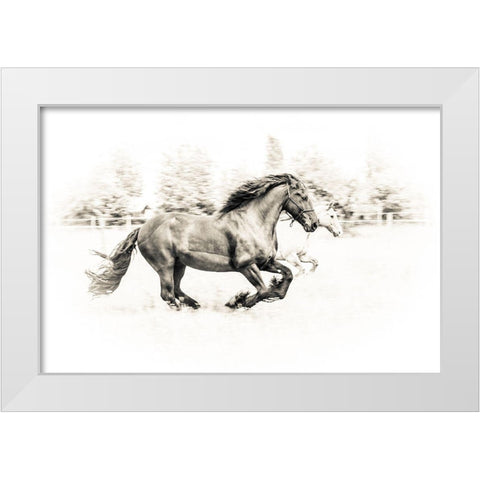 The Two Friends White Modern Wood Framed Art Print by Graf, Sebastian