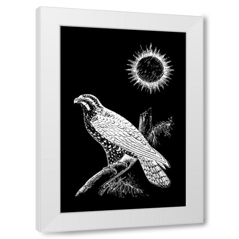 Falcon Peregrine White Modern Wood Framed Art Print by Abdel Aal, Hussein