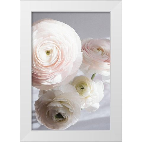 Soft Ranunculus White Modern Wood Framed Art Print by uplusmestudio