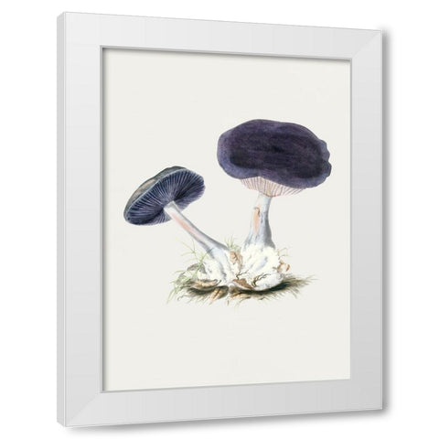 Vintage Violet Webcap Mushroom White Modern Wood Framed Art Print by Pictufy
