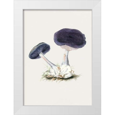 Vintage Violet Webcap Mushroom White Modern Wood Framed Art Print by Pictufy