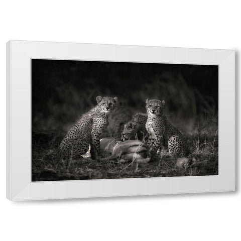 Cheetah Cubs White Modern Wood Framed Art Print by Moreno, Mario