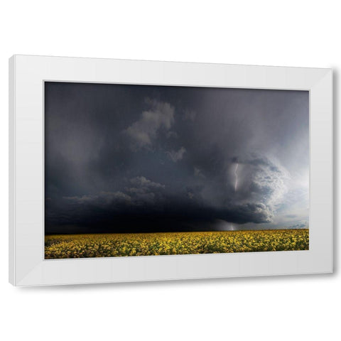 Gewitterfront White Modern Wood Framed Art Print by Schumacher, Nicolas